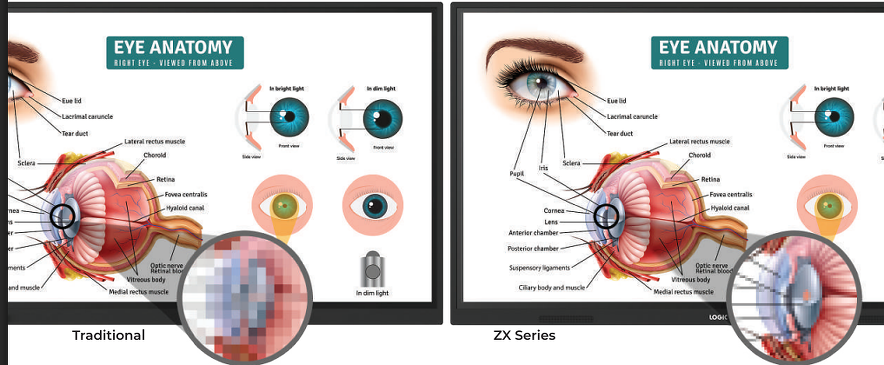 CX Pro 4K UHD display showing vivid colours